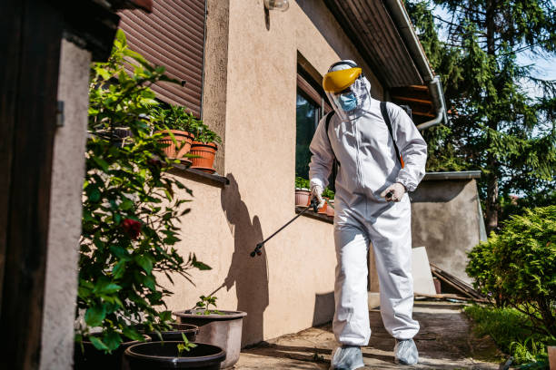 Best Rodent Control Near Me  in Socorro, TX