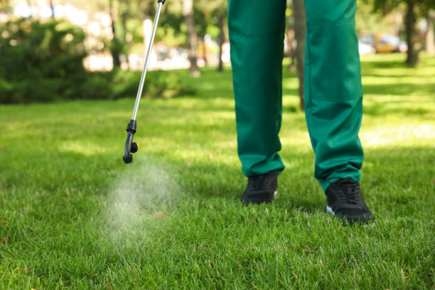 Best Pest Removal Services  in Socorro, TX