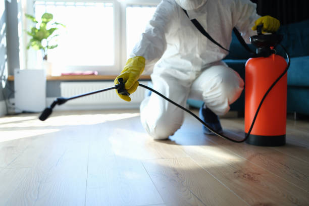 Professional Pest Control in Socorro, TX