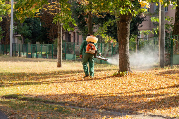 Best Best Pest Control Companies  in Socorro, TX